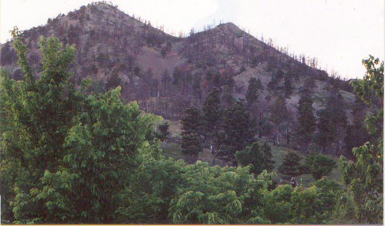 Hora Obdarovn Bear Butte