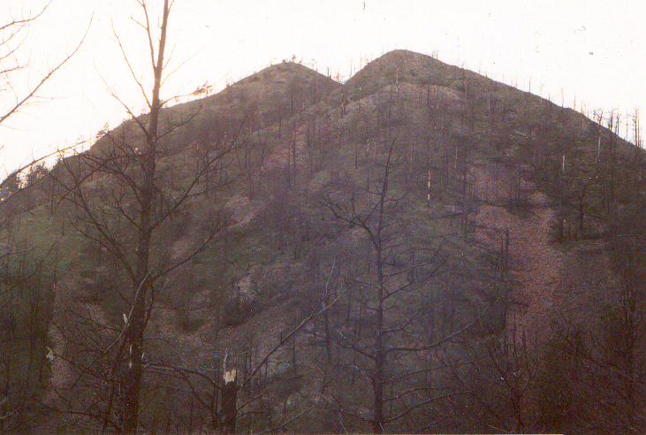 Bear Butte